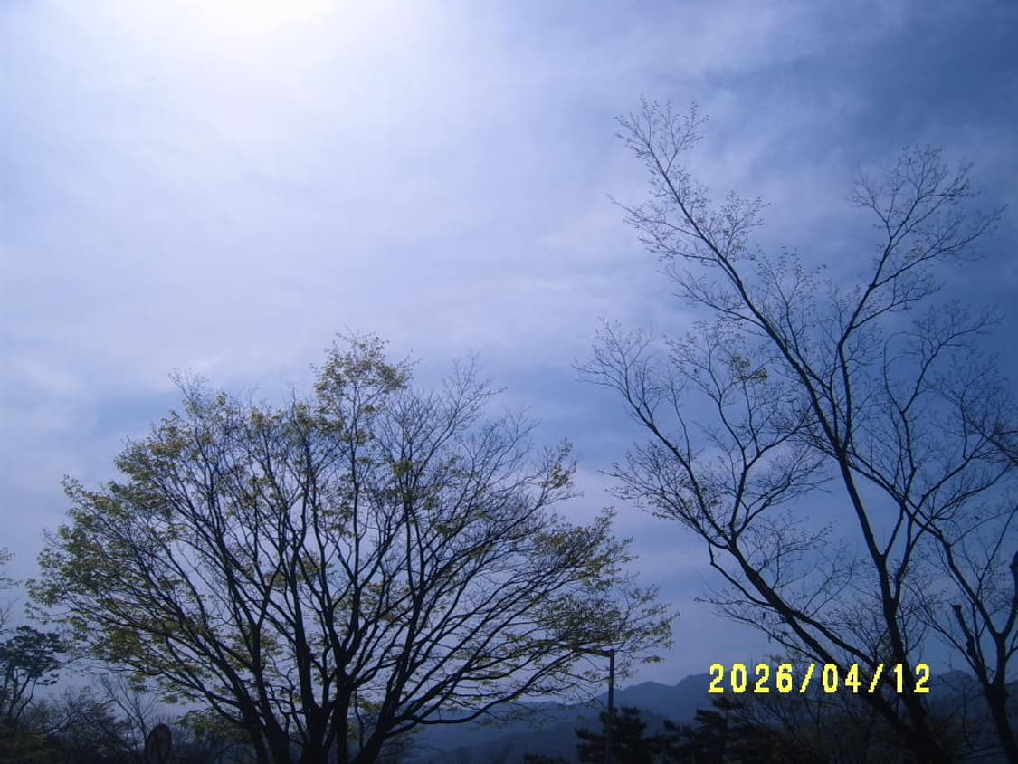 삼성 케녹스D3100(d470)디카 상품이미지9