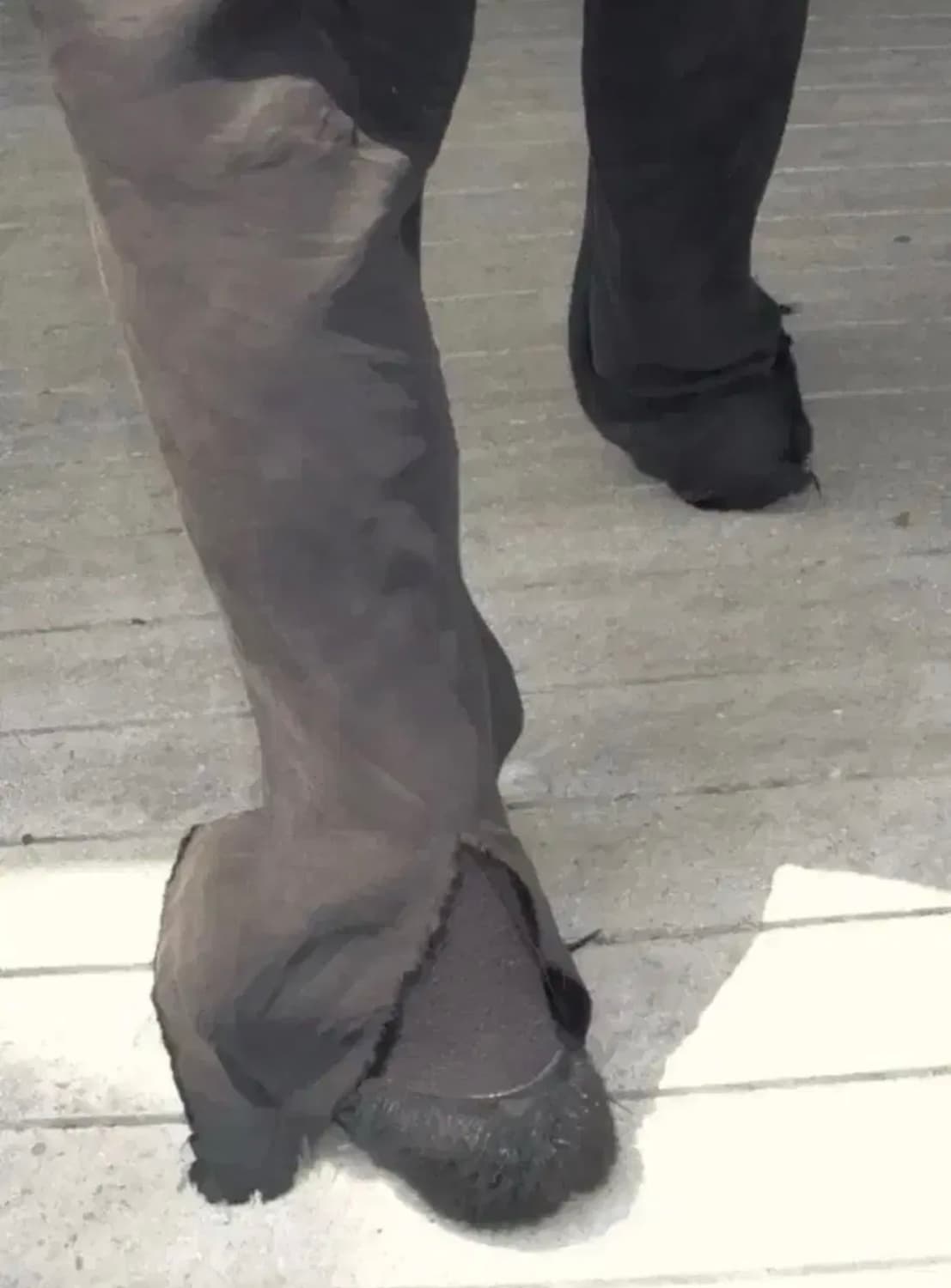 [2] 머듈 라운지팬츠 큐프라 블랙 상품이미지1