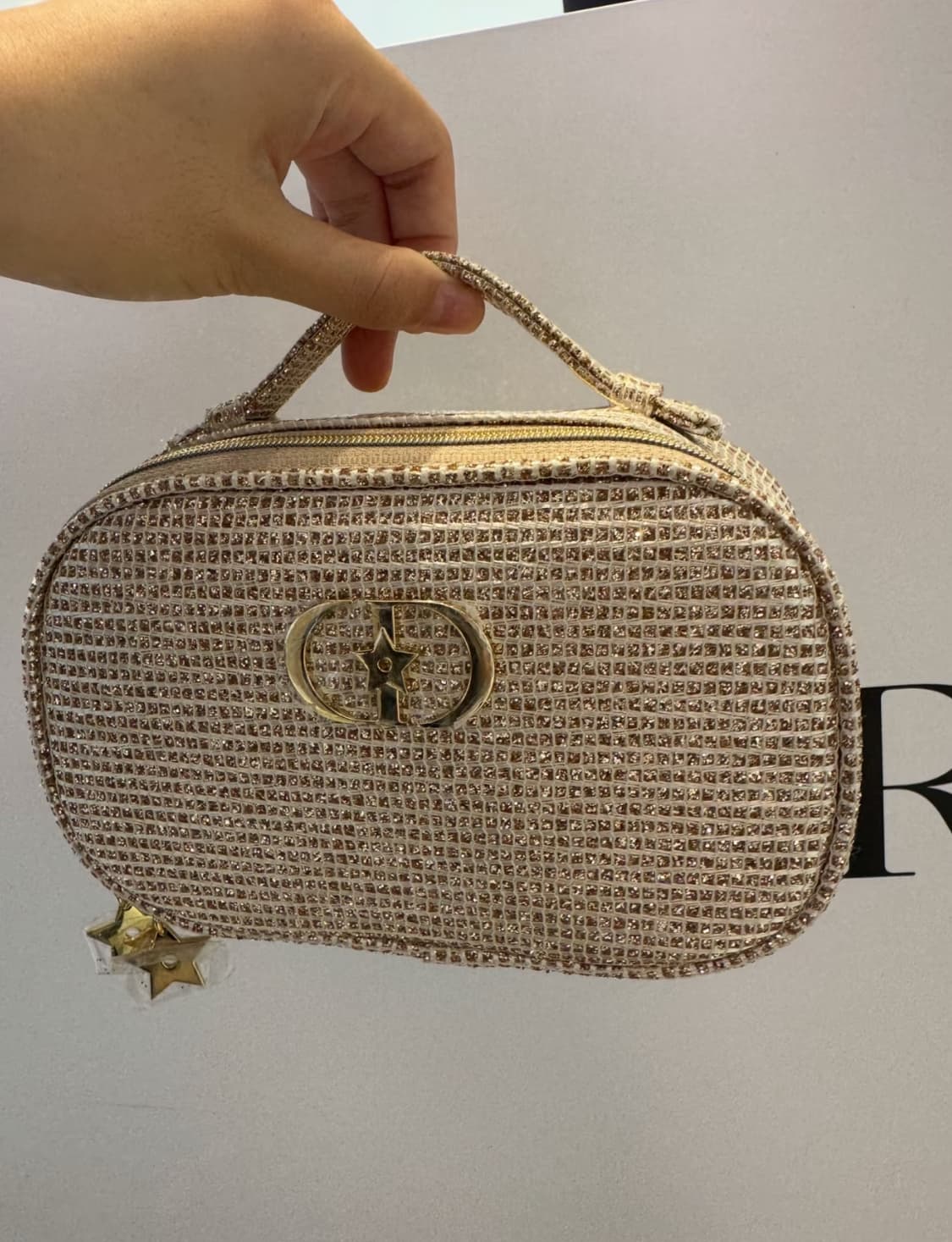 디올 홀리데이 파우치백 상품이미지4