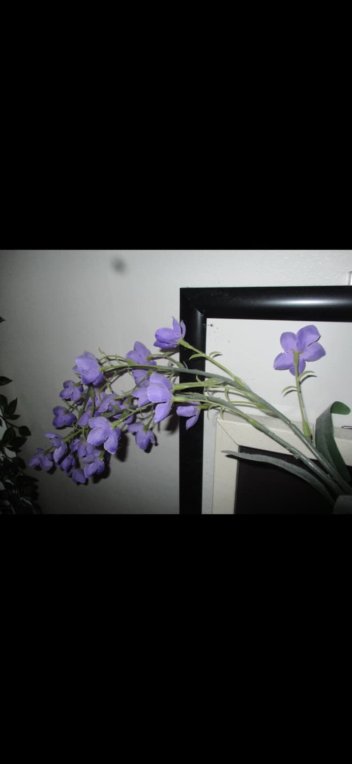 캐논 IXUS 185 / 슬림한 데일리 감성 디카 (ixy) 상품이미지4