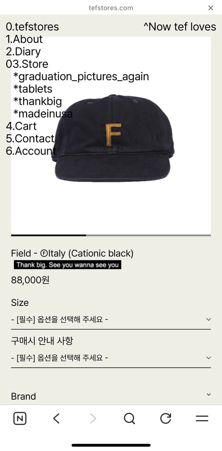 테프스토어즈 Field -Italy Cationic black M 상품이미지2