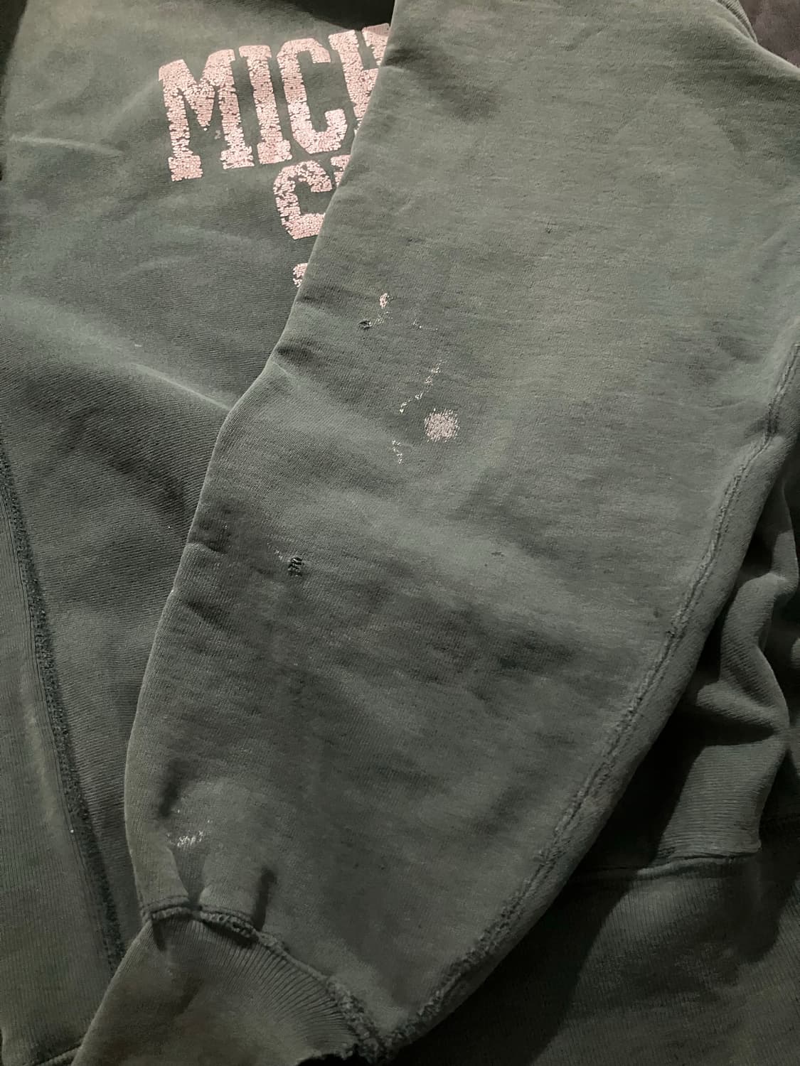 🇺🇸 90s USA 챔피온 리버스위브 스웻셔츠 맨투맨 미시건 상품이미지8