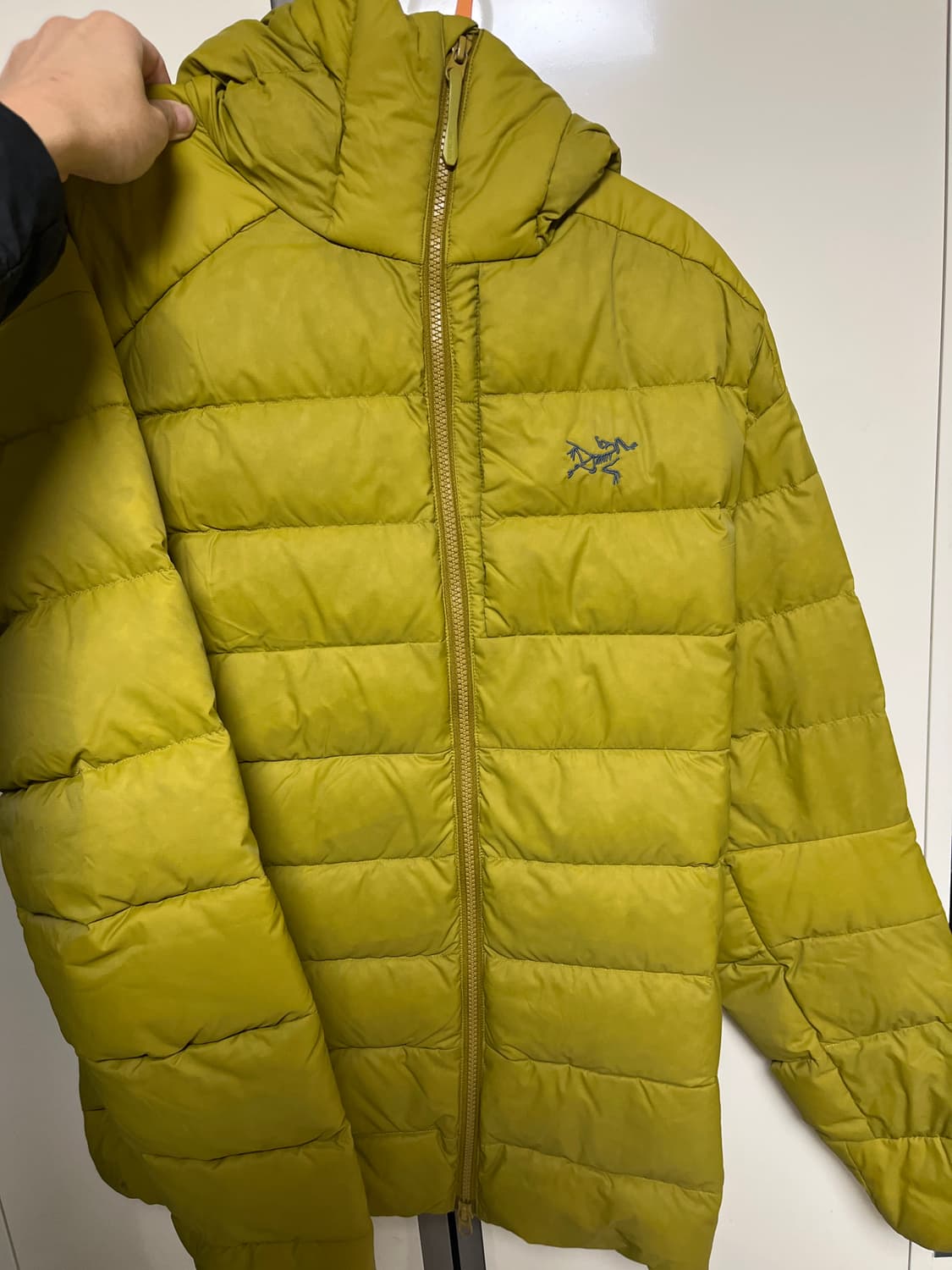 아크테릭스 토륨 상품이미지1