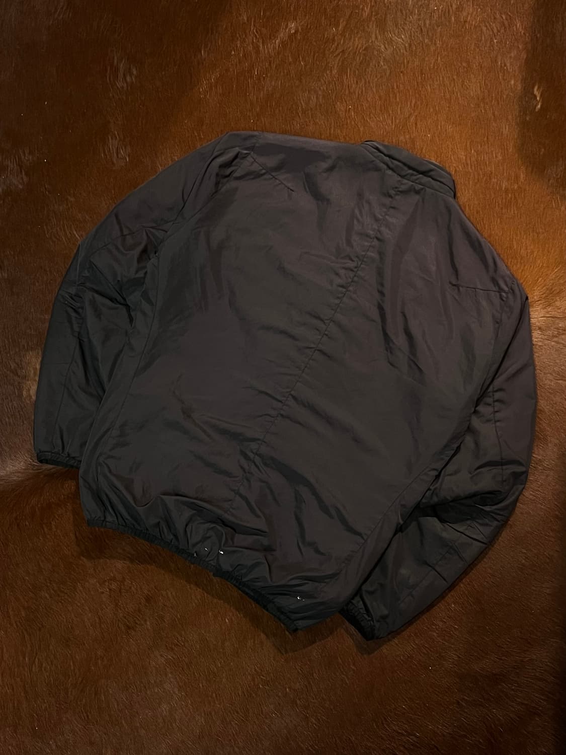Nike ACG 로고 바람막이 상품이미지4