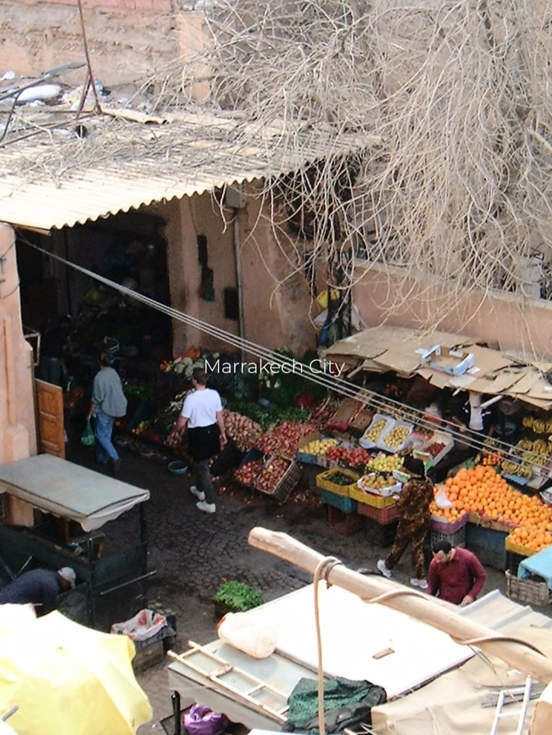라이카 디지룩스 줌 민트급 상품이미지7