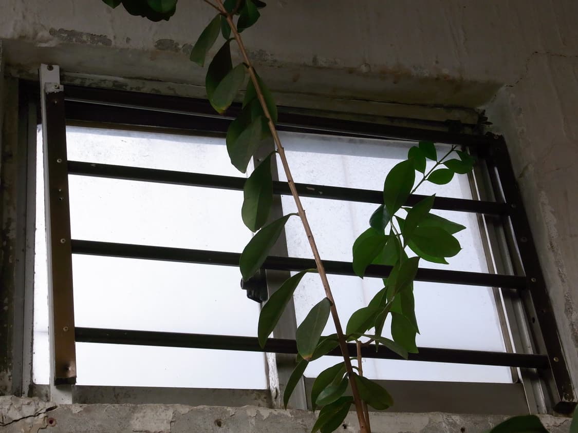 [강력추천]리코 RICOH CX4 빈티지디카 블랙컬러 상품이미지6