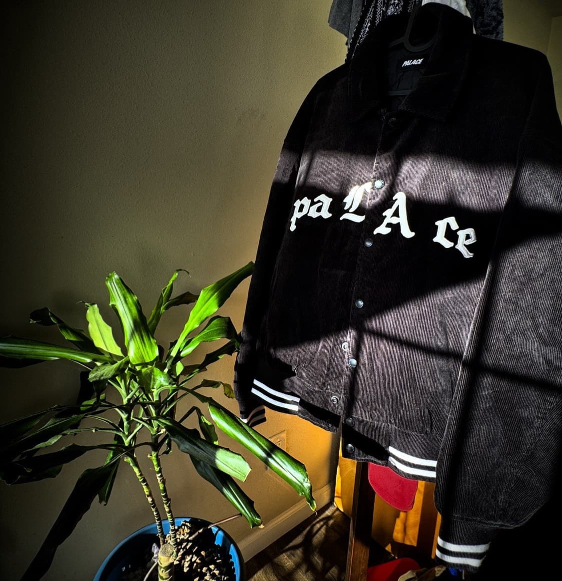 팔라스 러브 바시티 자켓 블랙 상품이미지4