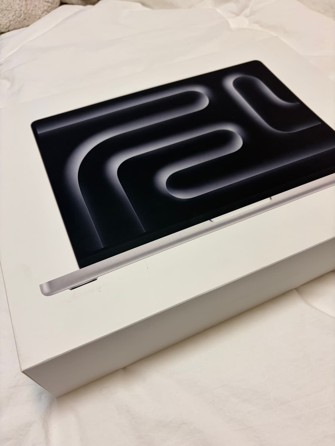 애플 맥북 m3 14인치 실버 16GB 1테라 상품이미지6