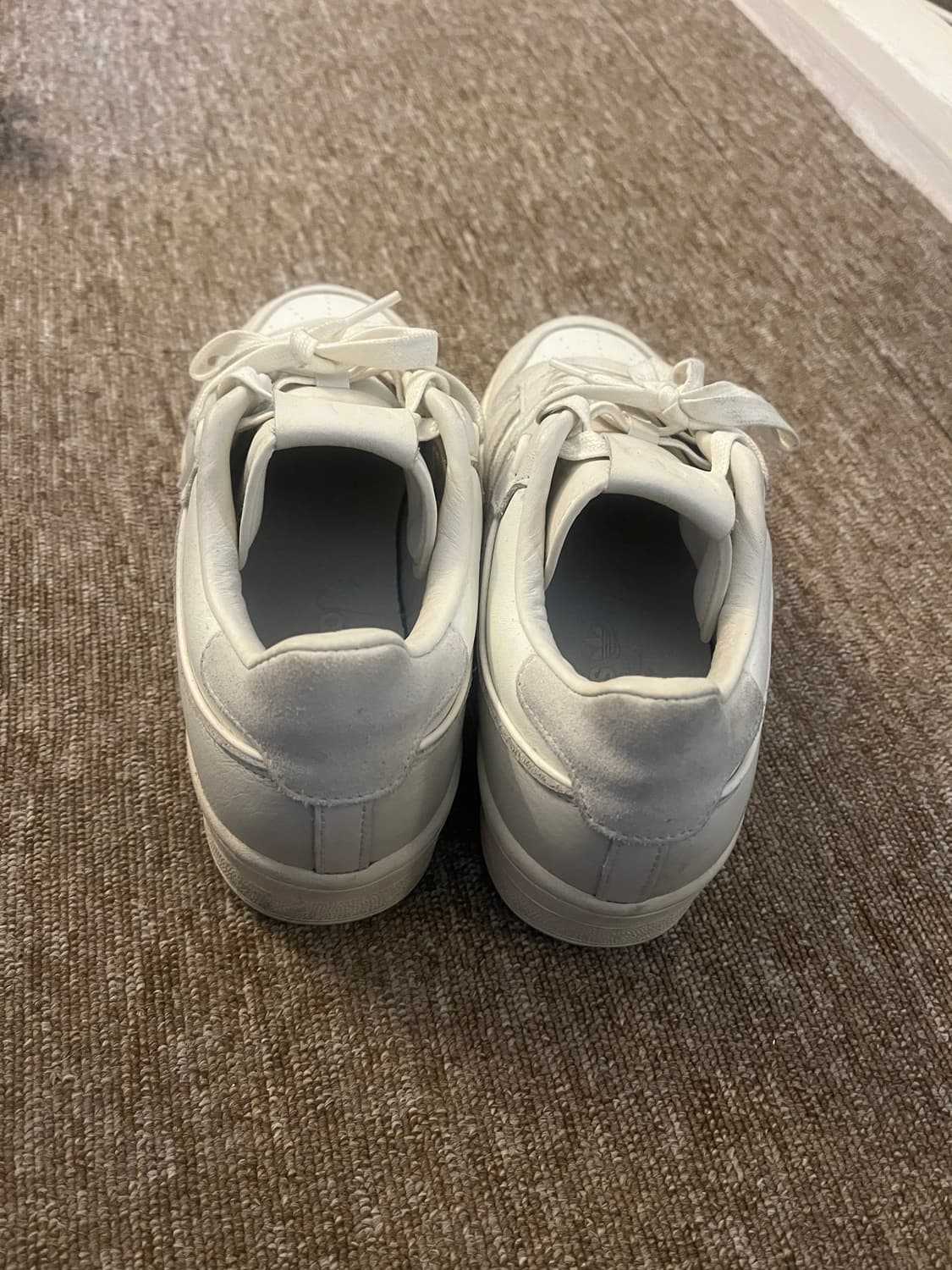 라이벌리 86 로우  상품이미지3