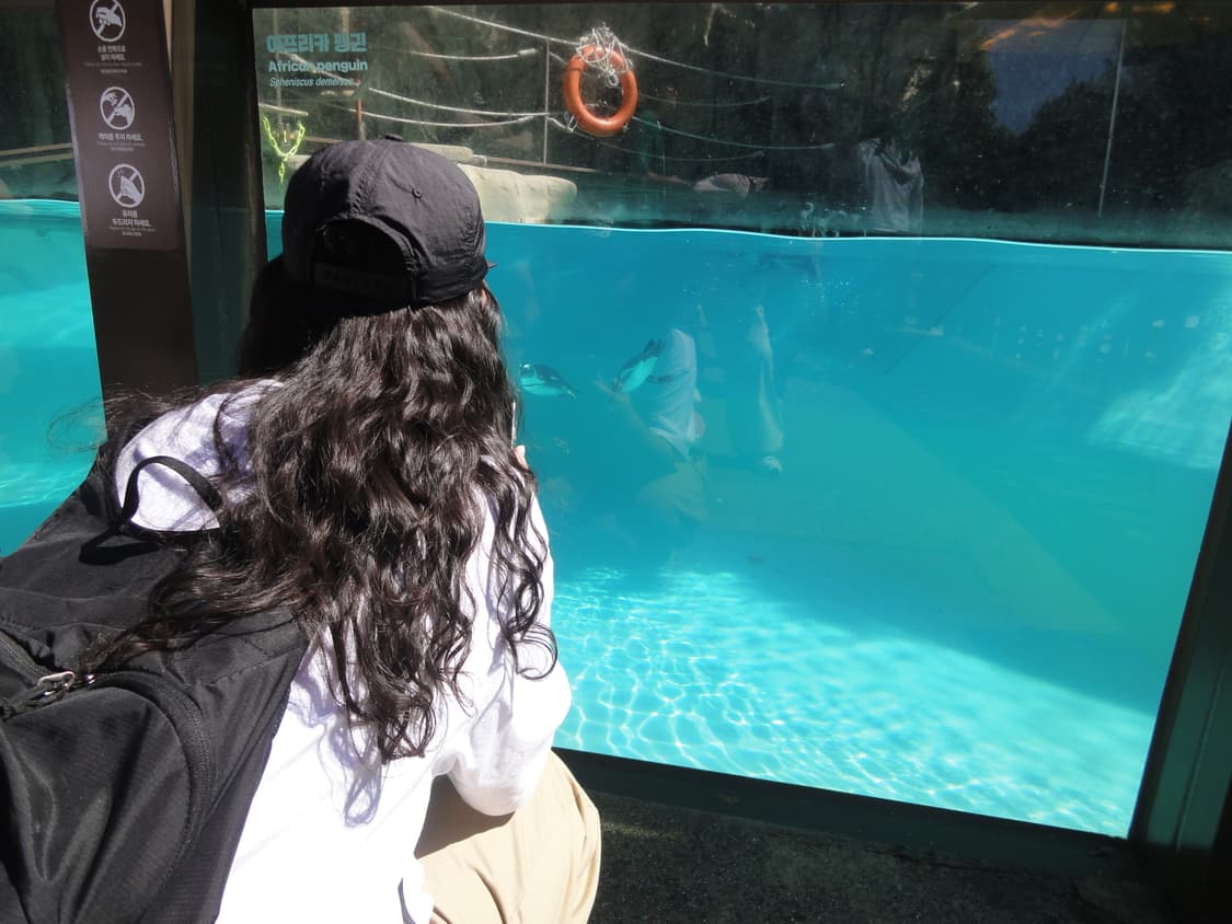 소니 사이버샷 똑딱이 카메라 실버 디카 cybershot dsc-wx5 상품이미지8