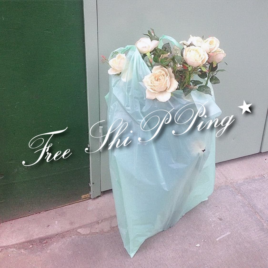 Free Shipping 상품이미지1