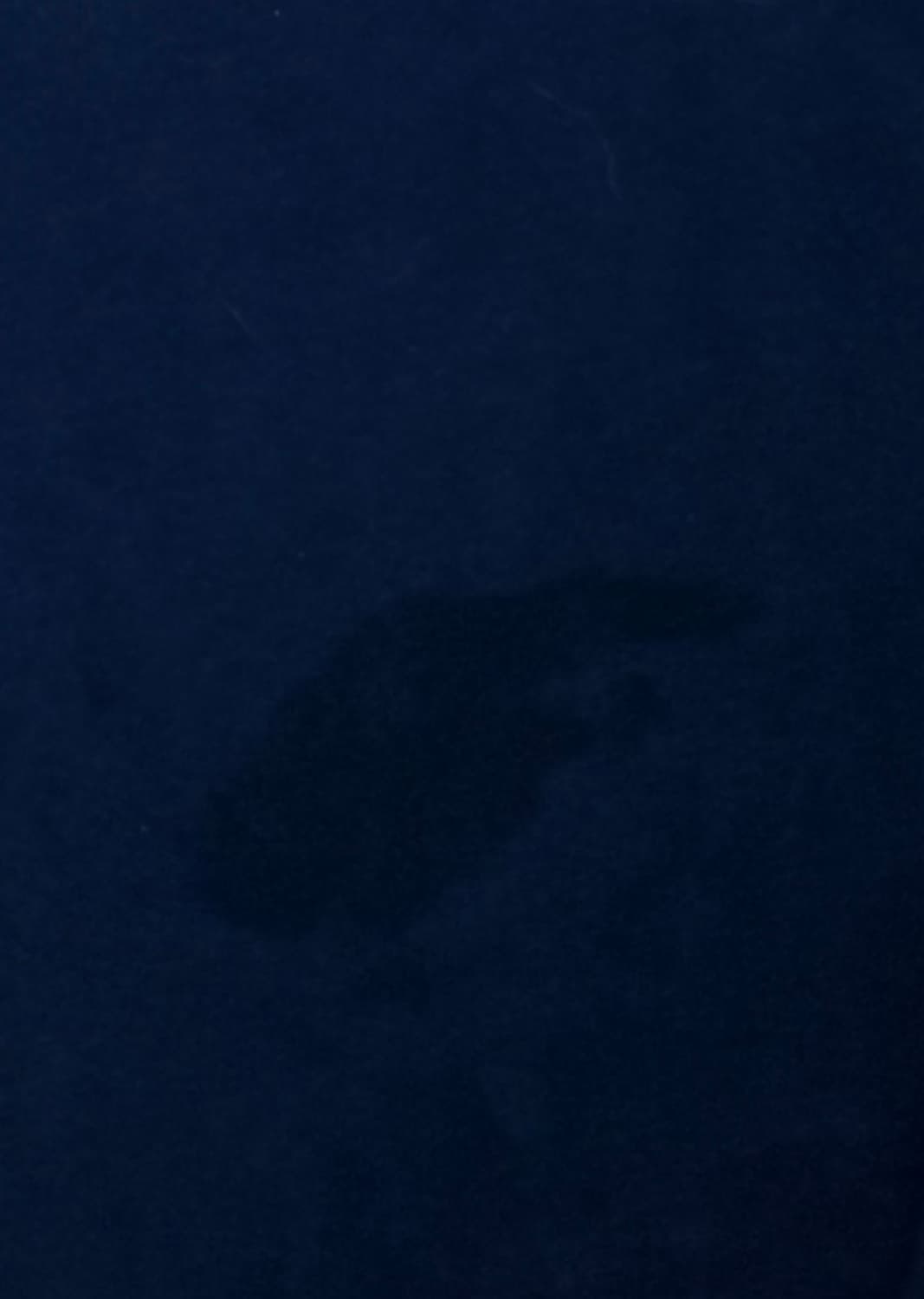 폴로 랄프로렌 긴팔티 상품이미지3