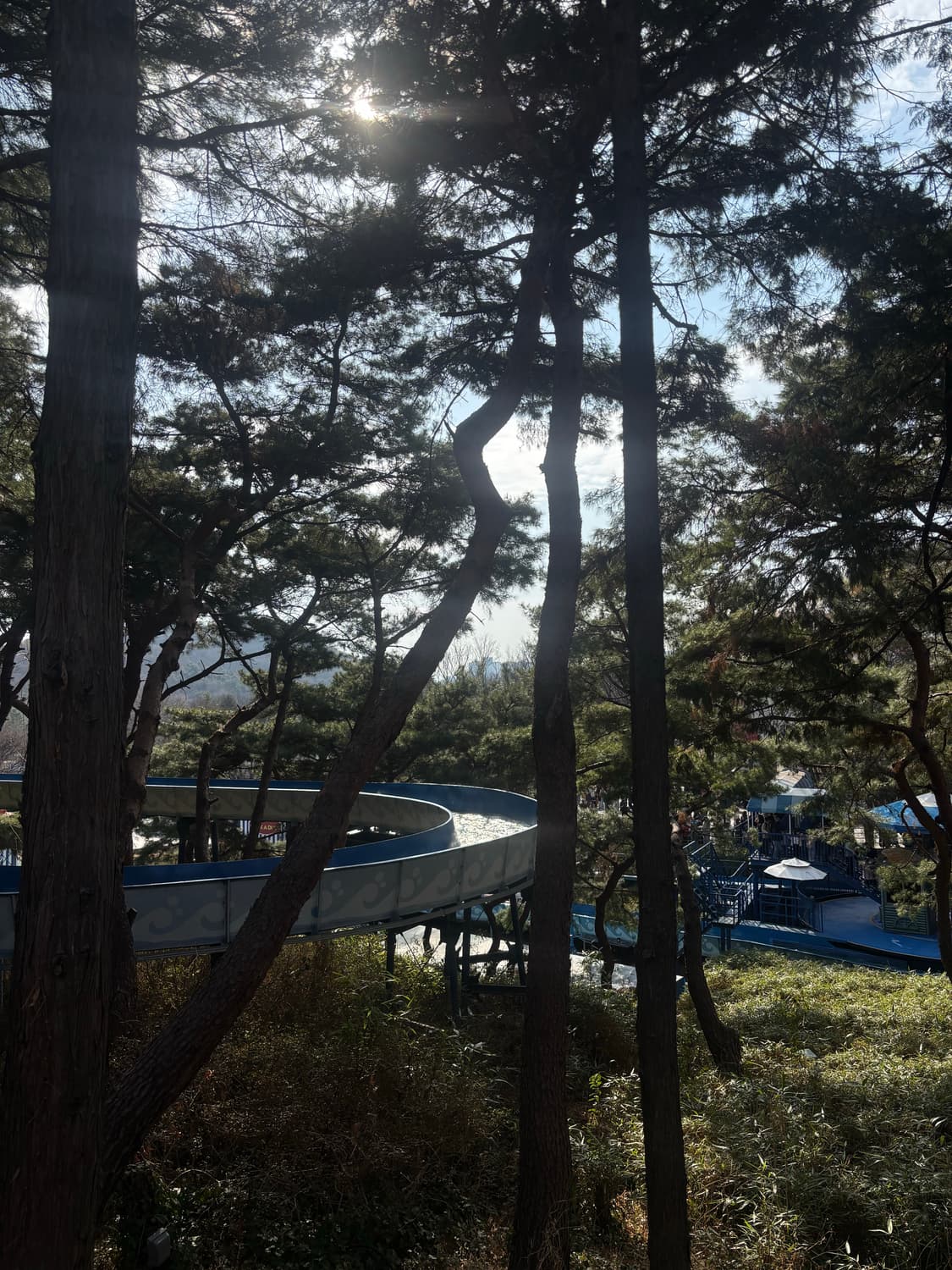 pojq****님 개인 결제창 상품이미지1