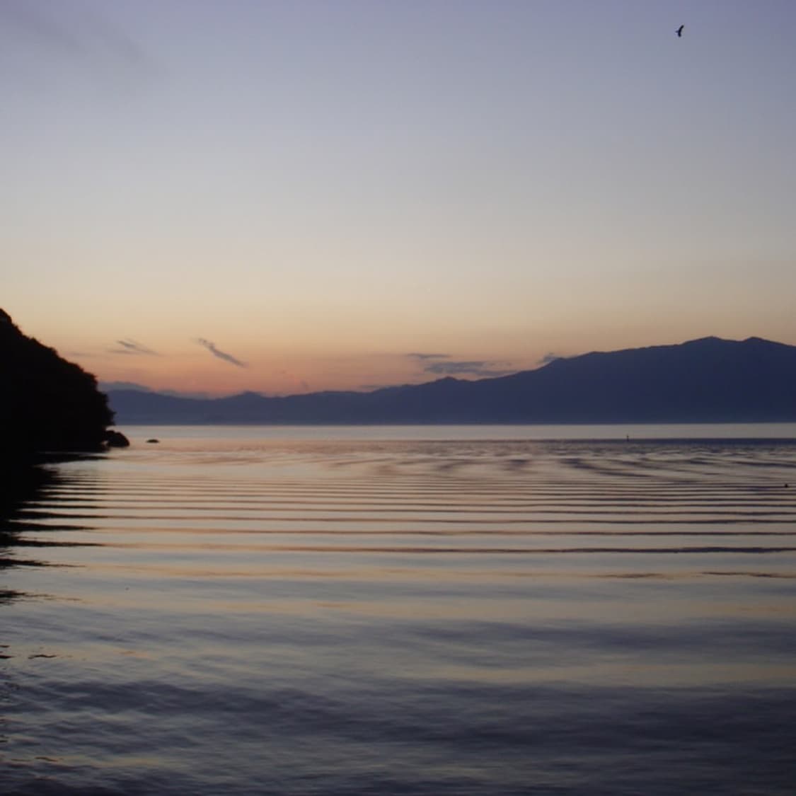 소니 사이버샷 Sony Cyber-shot DSC-T2 화이트 상품이미지5