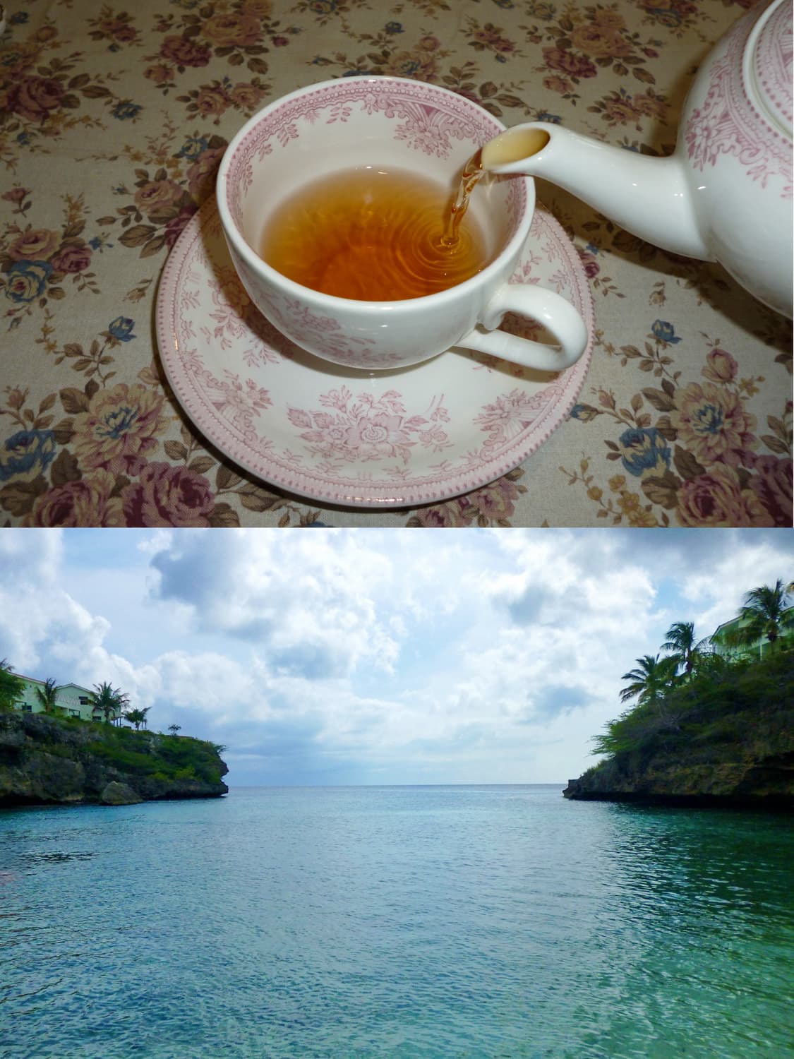 뽀용 작례 ㅇ 박스셑 파나소닉 fh5 디카 빈티지 카메라 상품이미지3