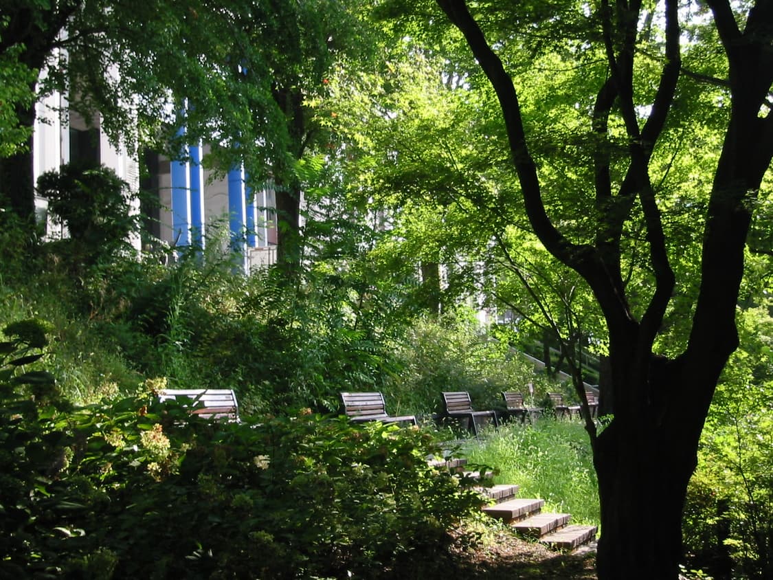 (희귀&초기 모델)Canon Ixy digital 200/Ixus V 상품이미지3