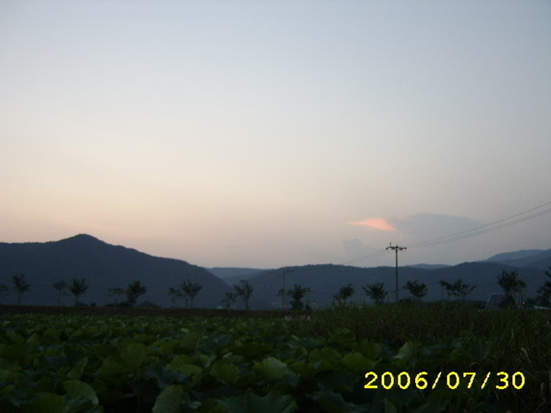 삼성 케녹스 Samsung Kenox D7 실버 상품이미지2