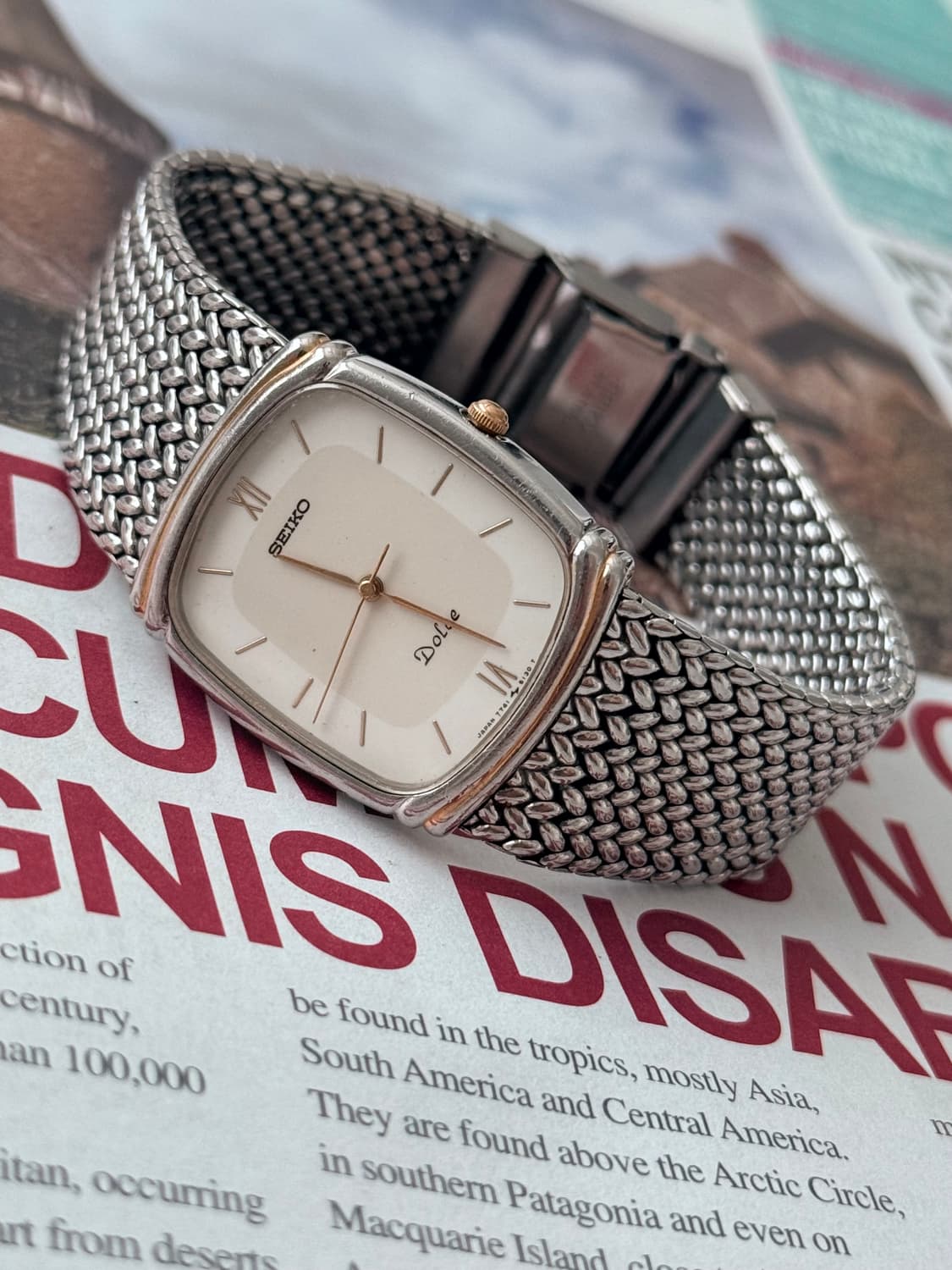 Seiko 세이코 쿼츠 Dolce 스퀘어 1988 상품이미지4
