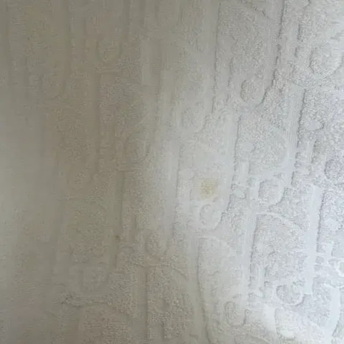 [S] 디올 오블리크 테리 후드티 상품이미지5