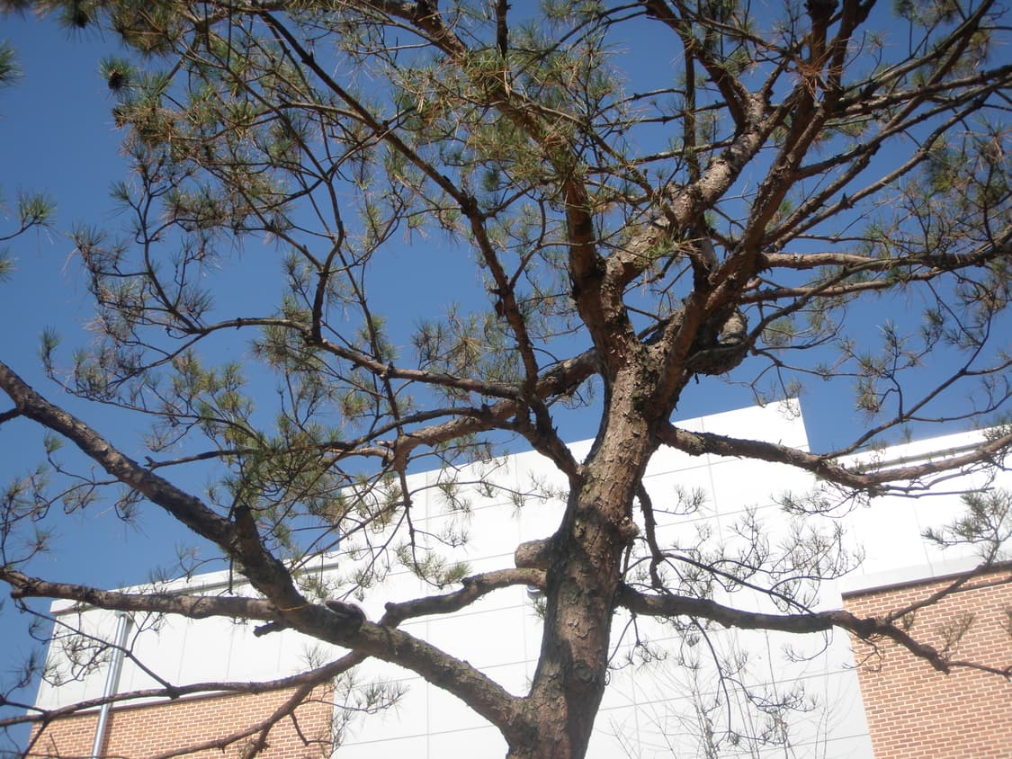 올림푸스 뮤 1040 디카 (빈티지 카메라) 상품이미지8