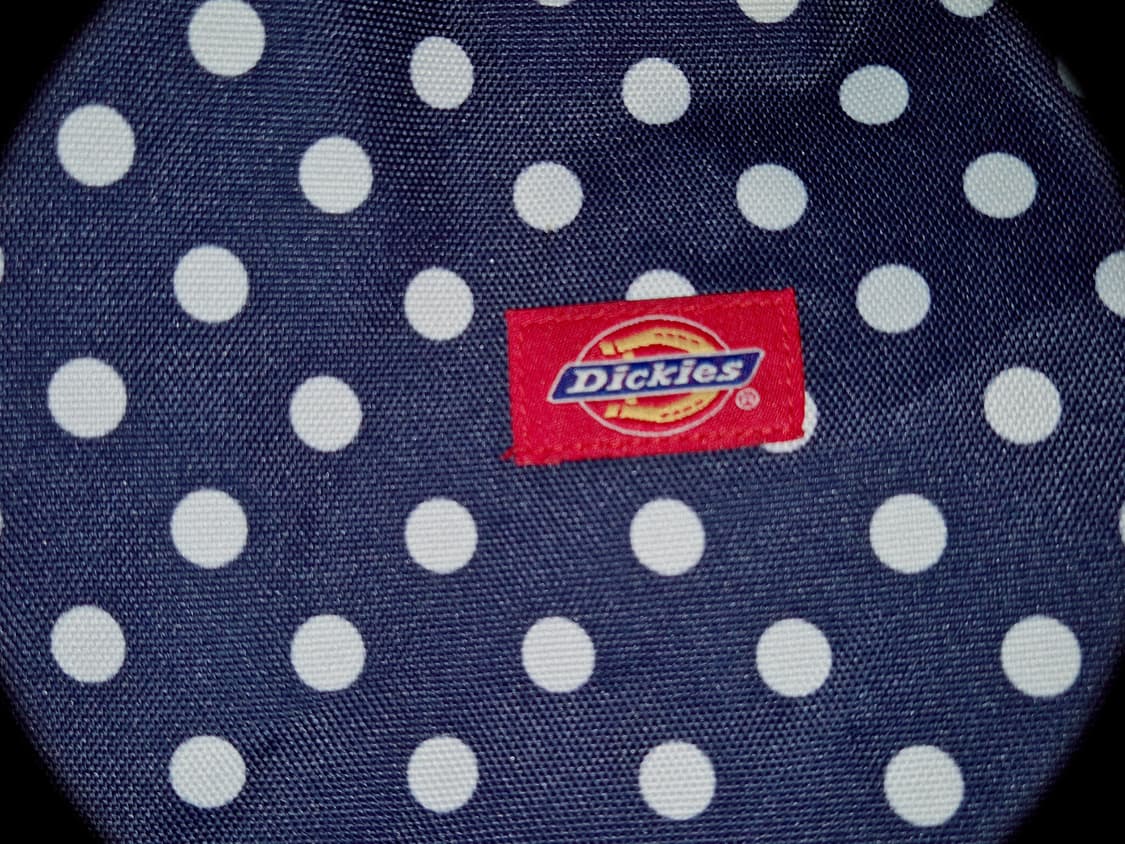 Dickies y2k Dot Backpack 상품이미지2
