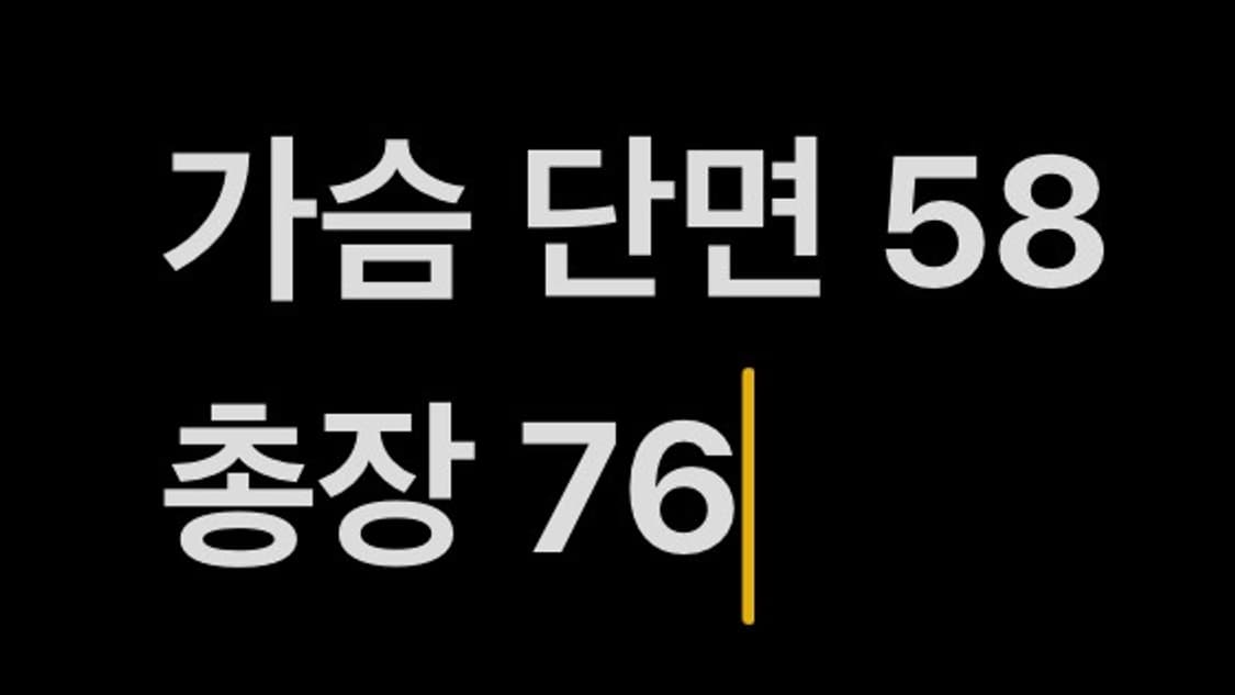 [ 정품/XL ] 폴로 랄프로렌 커스텀 슬림핏 카라 반팔티 b15 상품이미지6