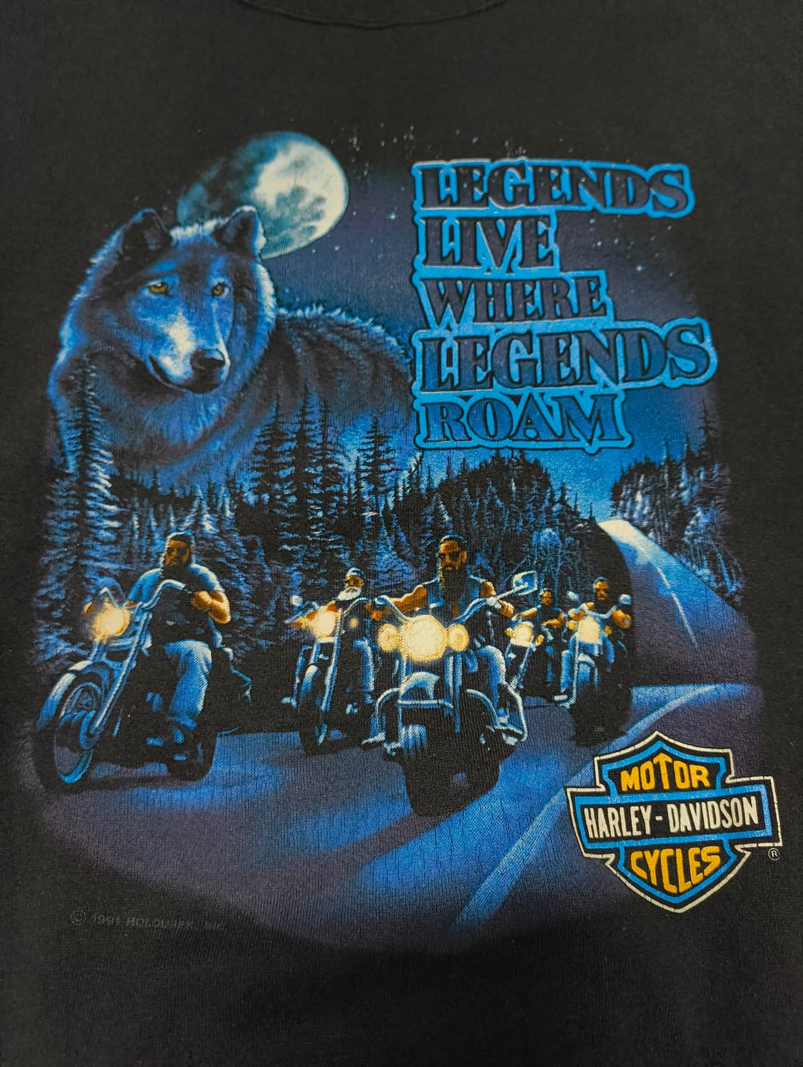 90s 할리데이비슨 울프 플레임 스웻셔츠 XL 상품이미지3