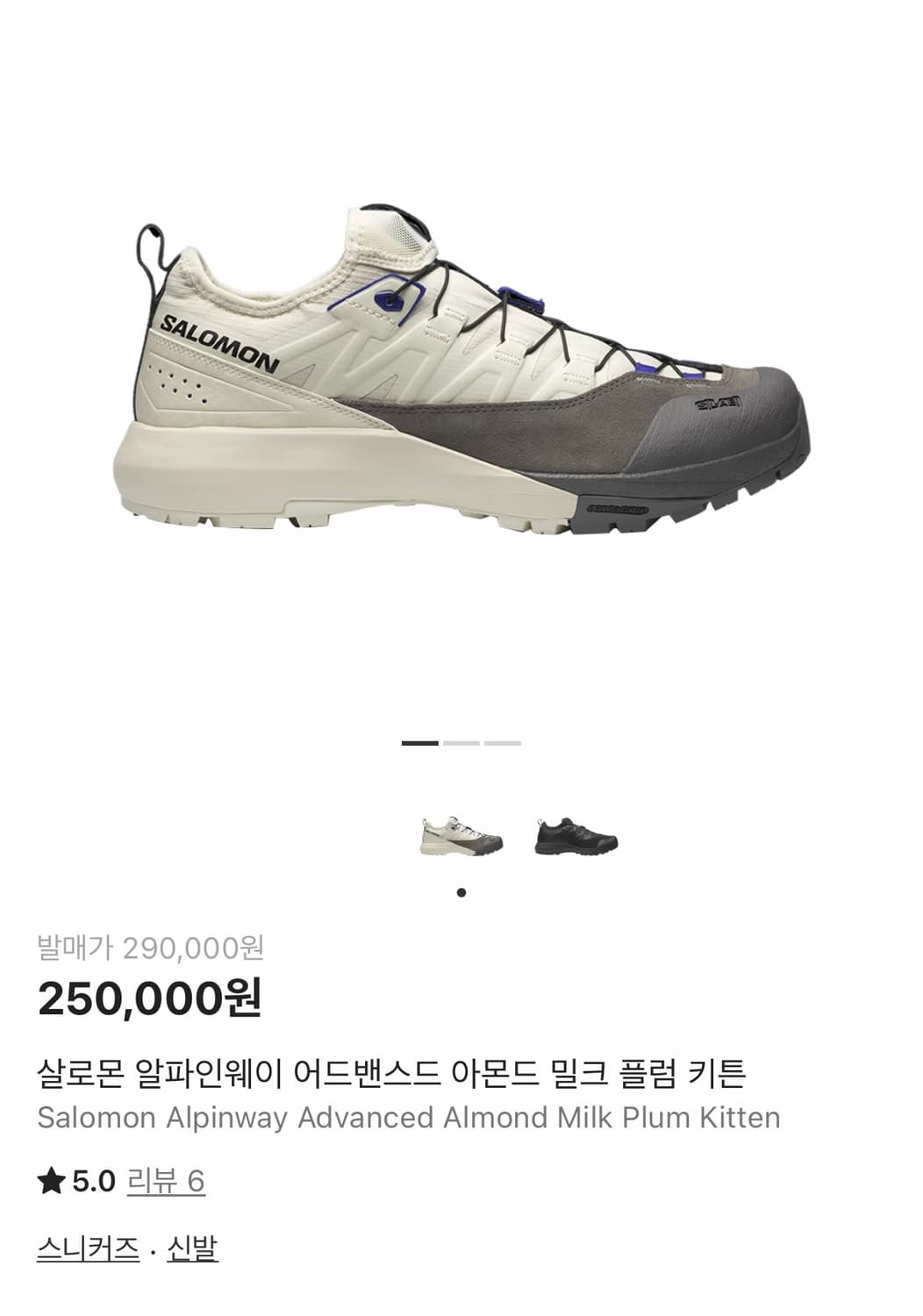 살로몬 알파인웨이 어드밴스드 275 상품이미지1