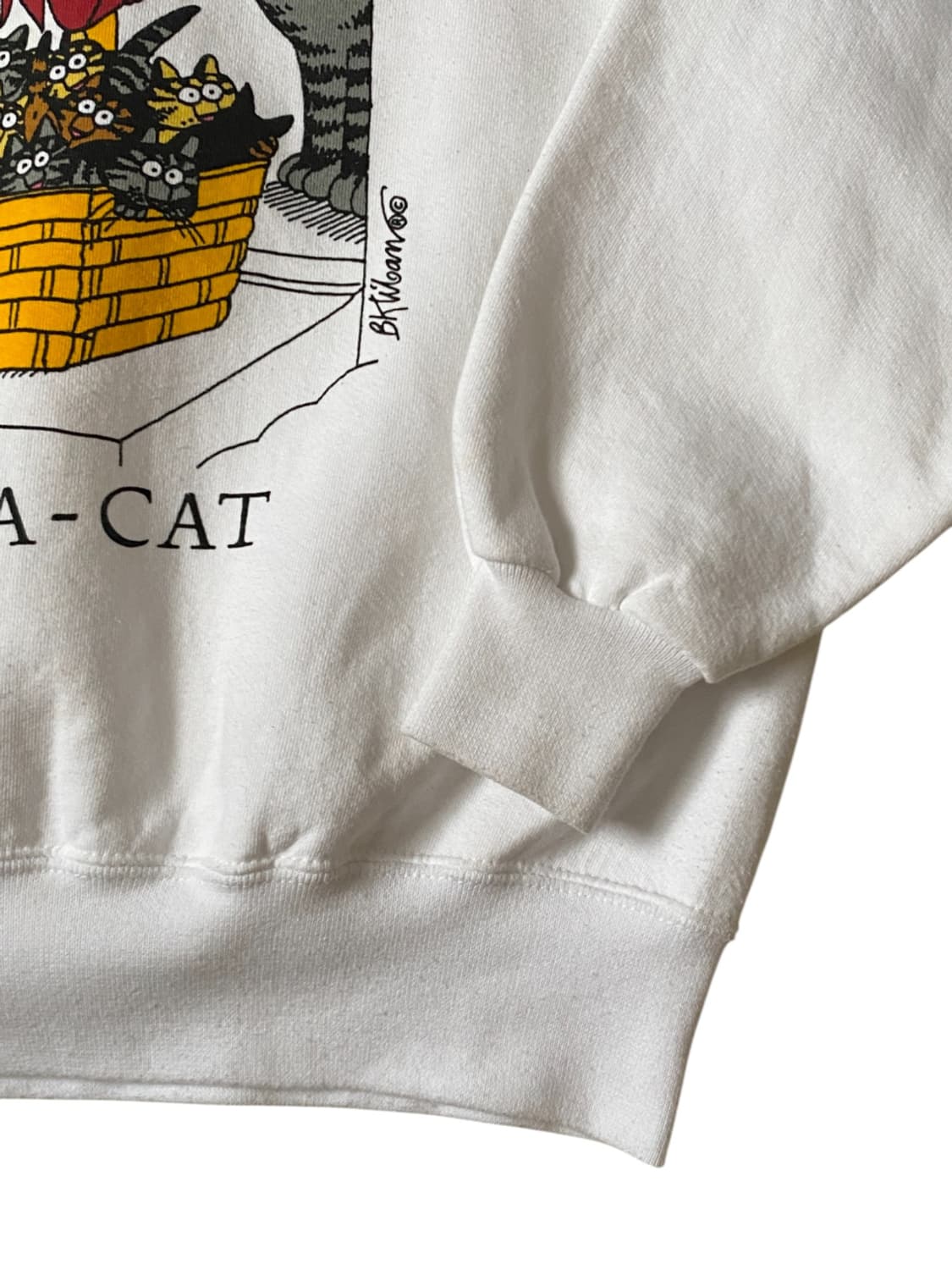 프린팅 스웻셔츠 Made in U.S.A (Man M) AB0192 상품이미지5