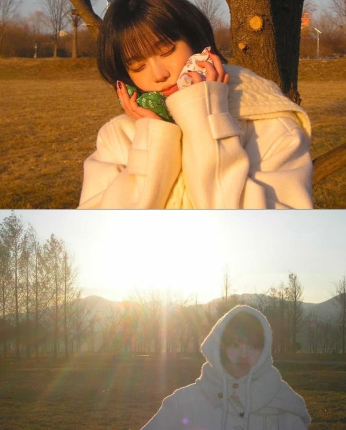 ☆윈터 카메라☆민트급☆ 화이트 산요 작티 CG9 / 빈티지디카 상품이미지8