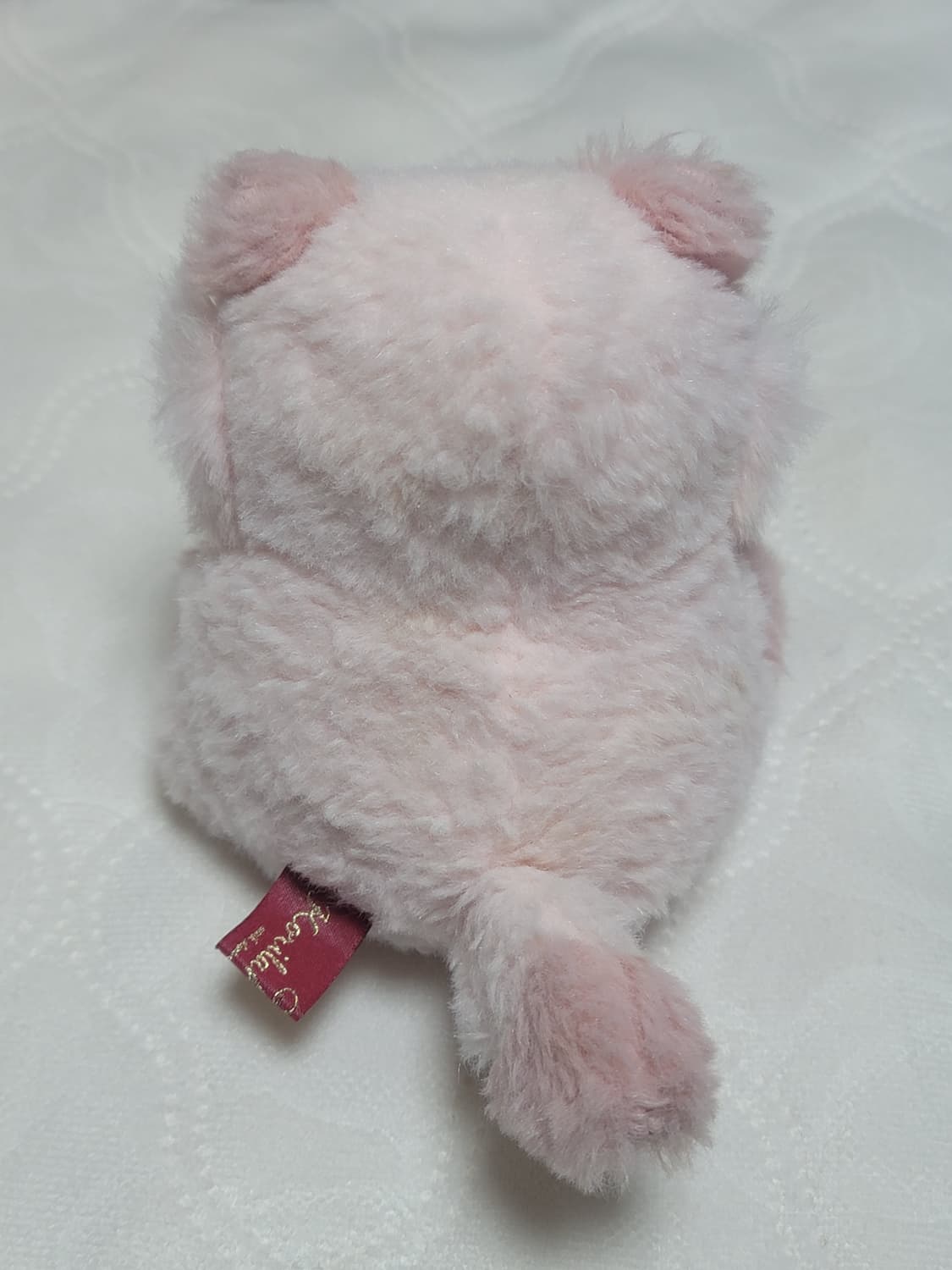 리락쿠마 코리락쿠마 스트로베리캣 마스코트 고전인형 코코아캣 코구마 고양이 상품이미지2