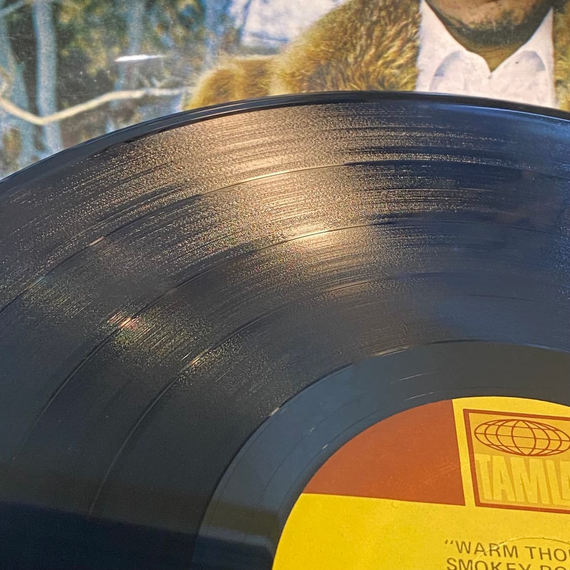 (중고LP-소울) Smokey Robinson -Warm Thoughts 상품이미지6