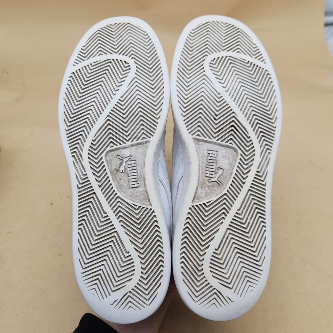 푸마 스매쉬 v2 남성스니커즈 270 상품이미지3