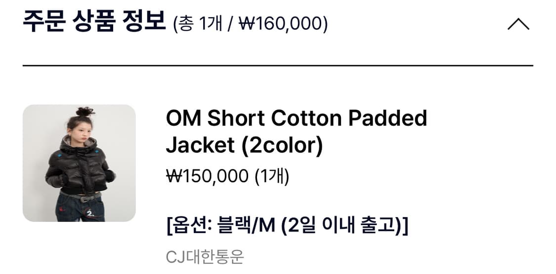 TESTMECHANISM 테스트메커니즘 숏패딩 블랙 M 상품이미지4