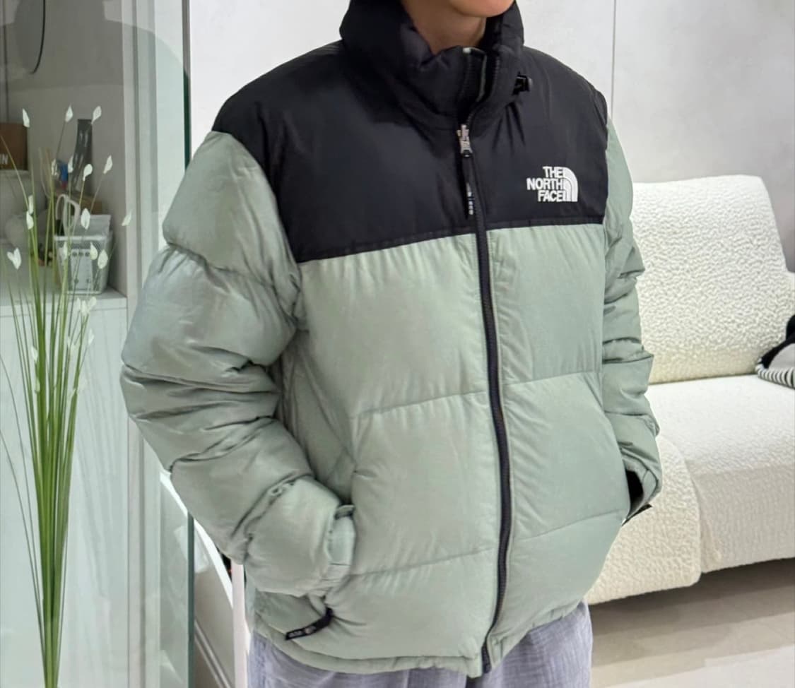 노스페이스 1996 에코 눕시 자켓 상품이미지2