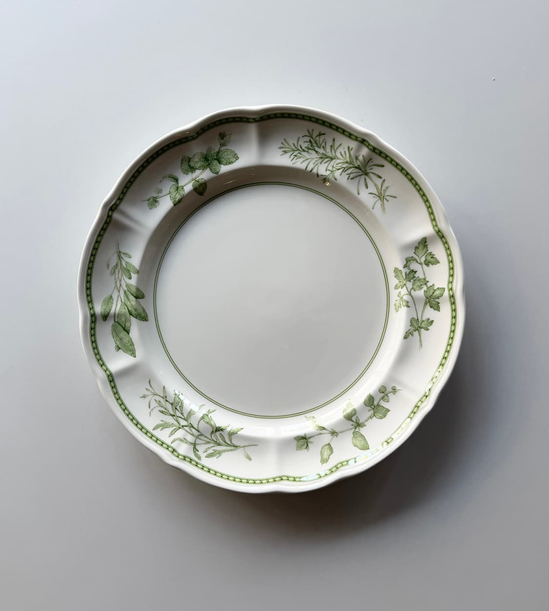 리차드 지노리 Richard Ginori (Fresh Herbs) 디너  상품이미지1