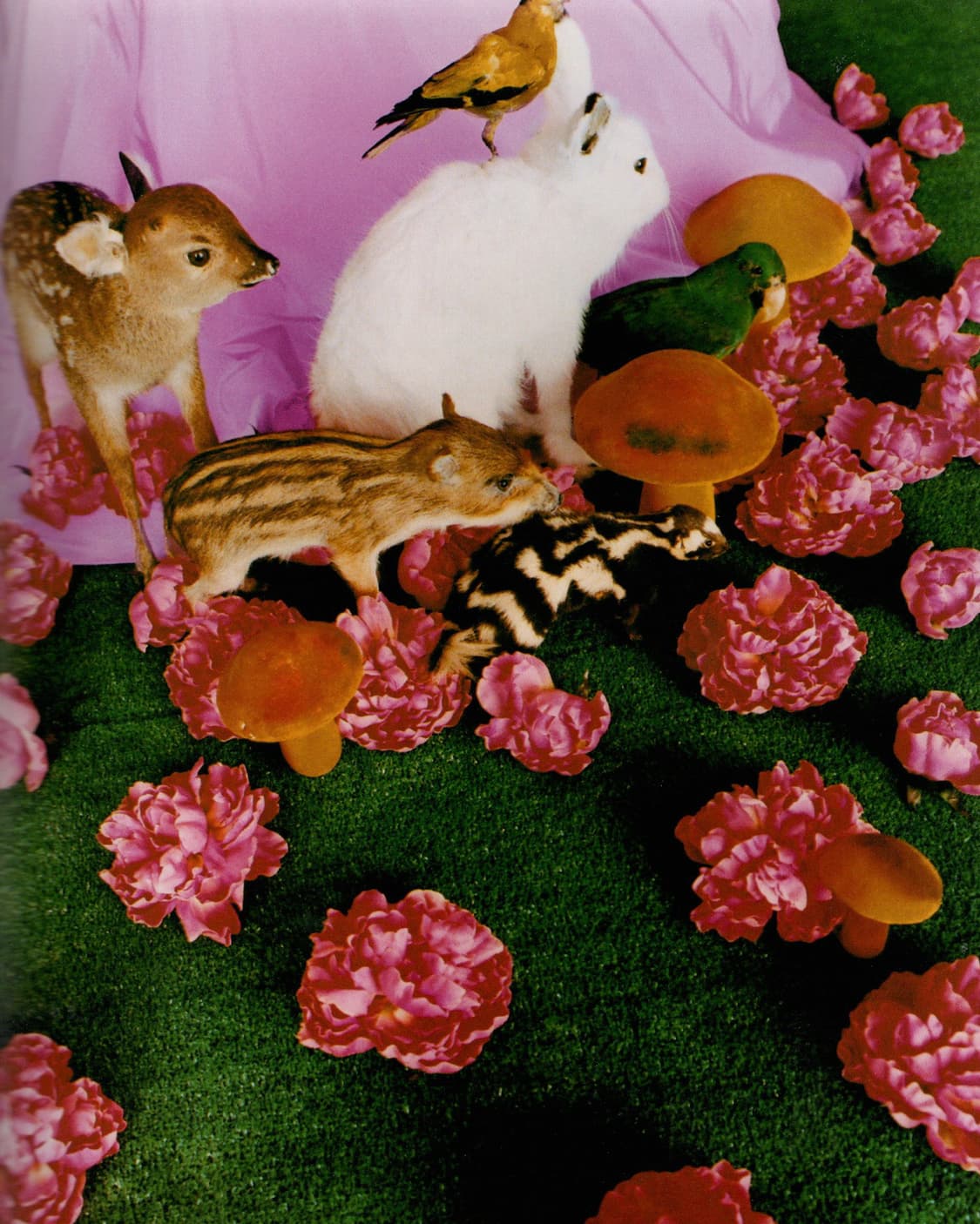 니나가와 미카 - Princess (2004) 쿠리야마 치아키 사진집  상품이미지7