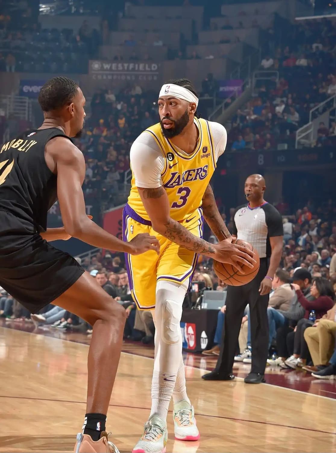 Anthony Davis 1/6 Figure (핫토이X앤터베이X작가작) 상품이미지2