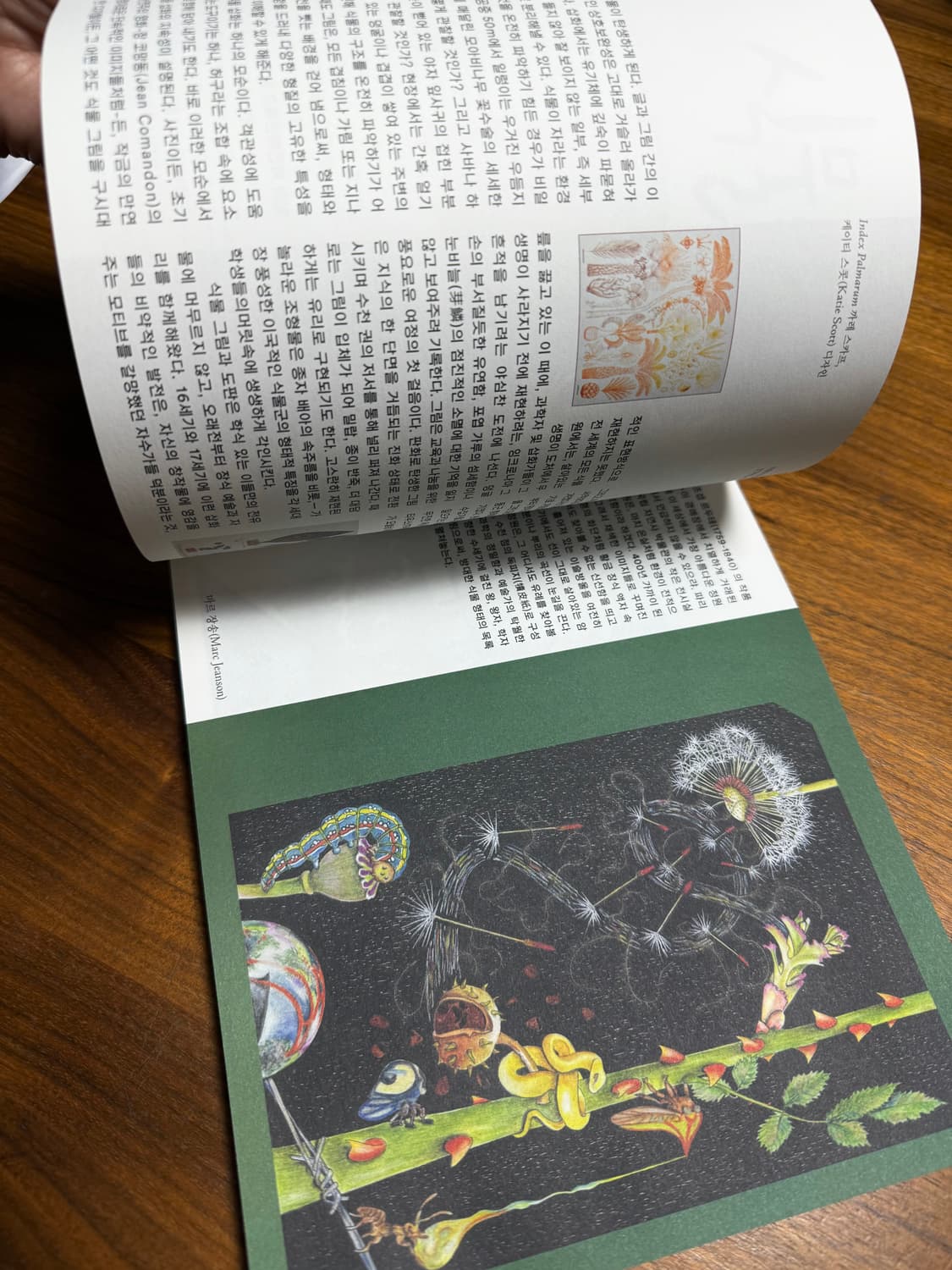 에르메스 르몽드 잡지 2025 가을겨울호 상품이미지2