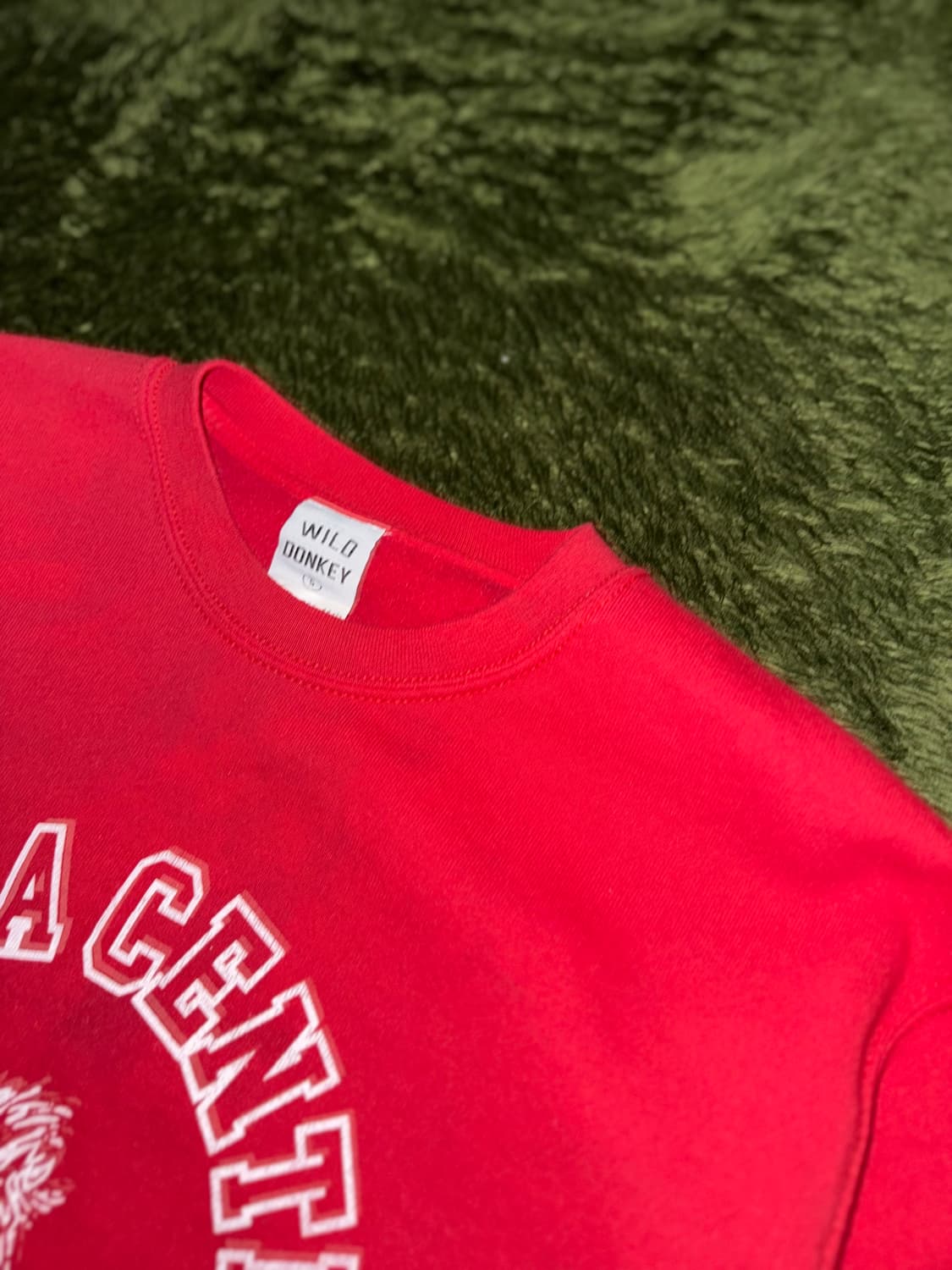 [S] 와일드동키 SALINA Made in Italy 튜블러 스웻셔츠 상품이미지3