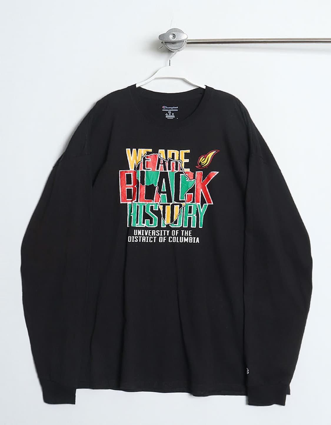 Champion Print L/S 3XL 상품이미지1