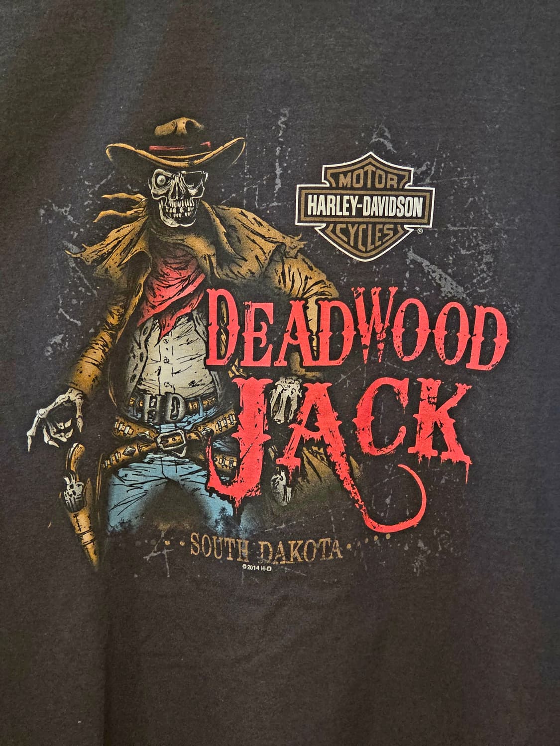 2014 Harley-Davidson “Deadwood Jack" 상품이미지8
