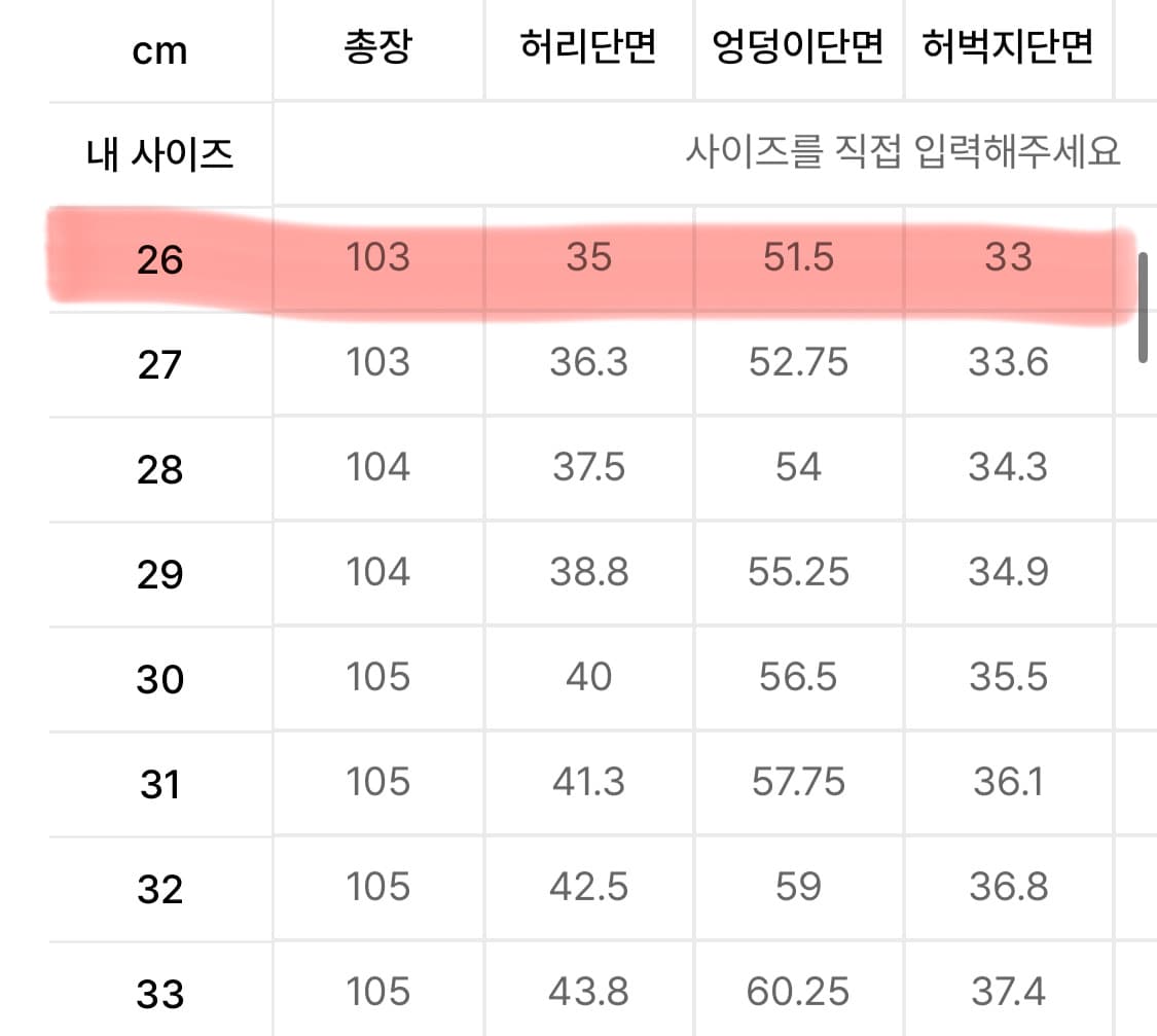 밴딩 와이드 슬랙스 26 (수트 셋업) 상품이미지6