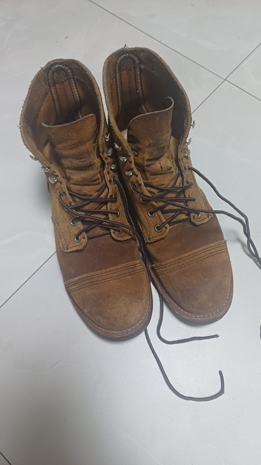 레드윙 8113 260 상품이미지1