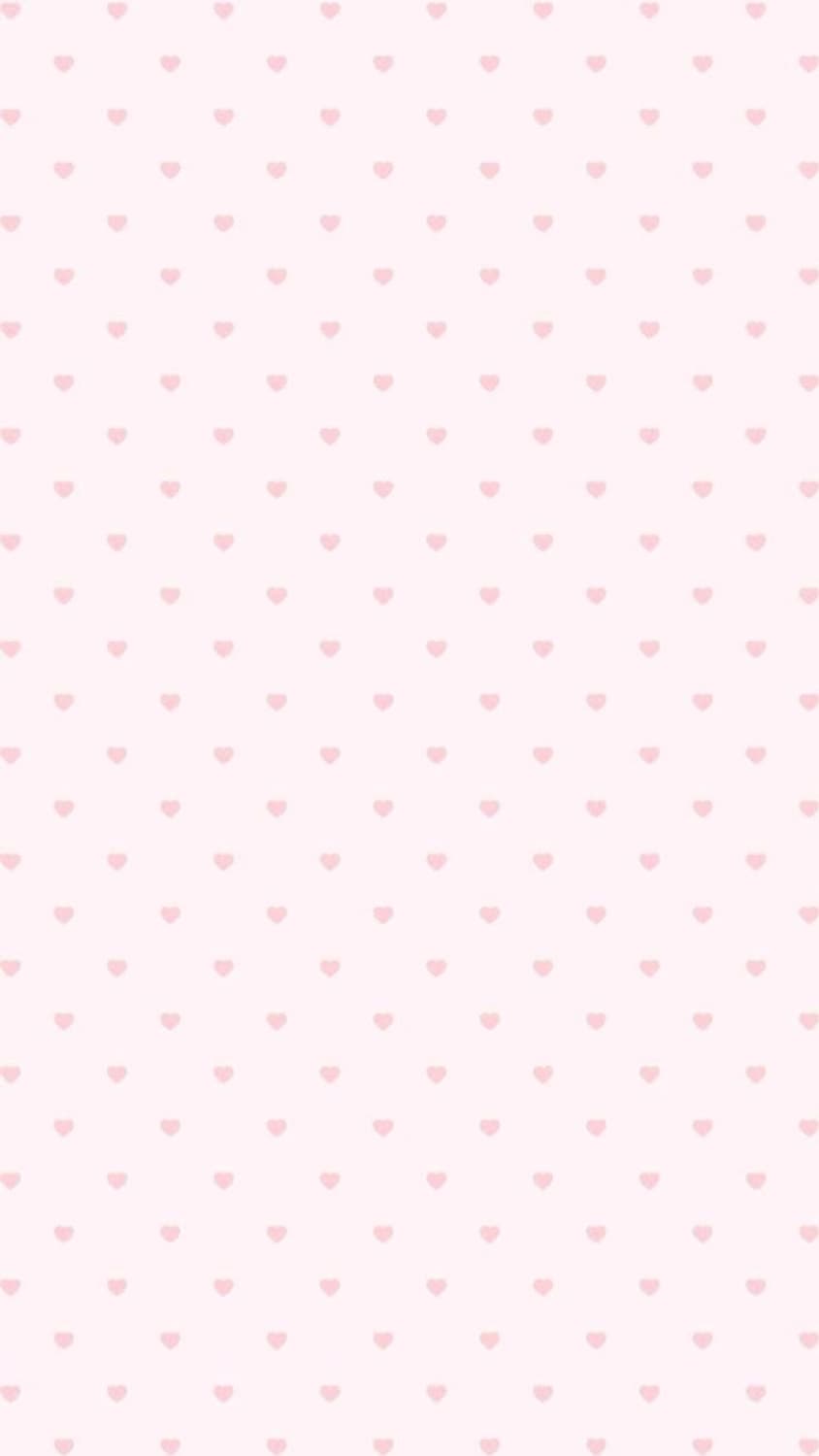카결창 ♥  상품이미지1