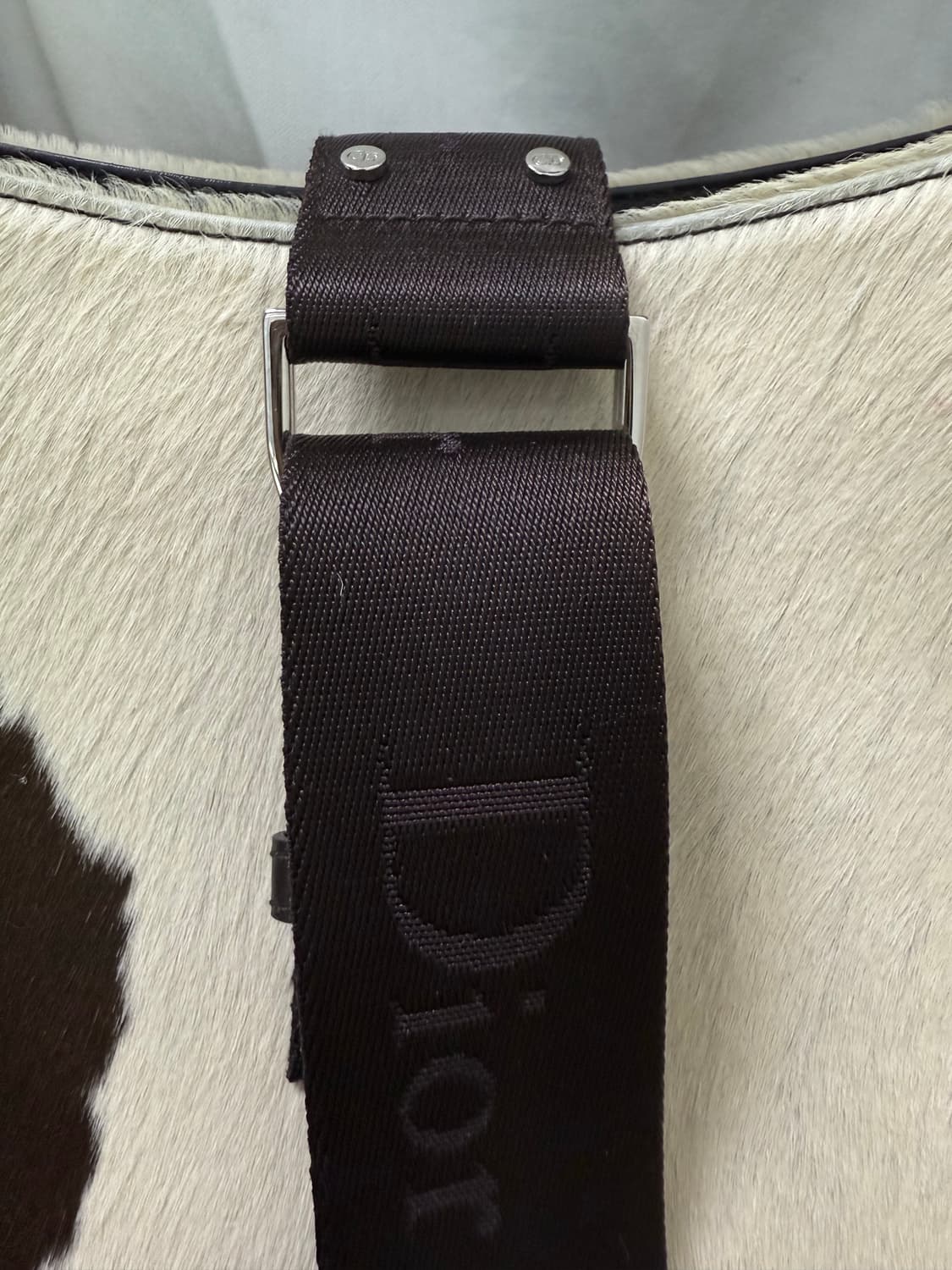 Dior 송치 토트백 상품이미지3