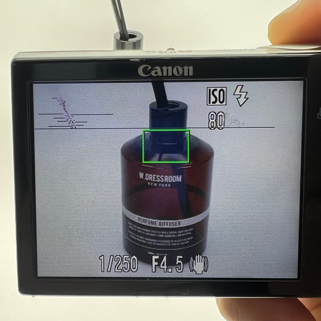 캐논 익서스 Canon IXUS 860 IS 실버 상품이미지9