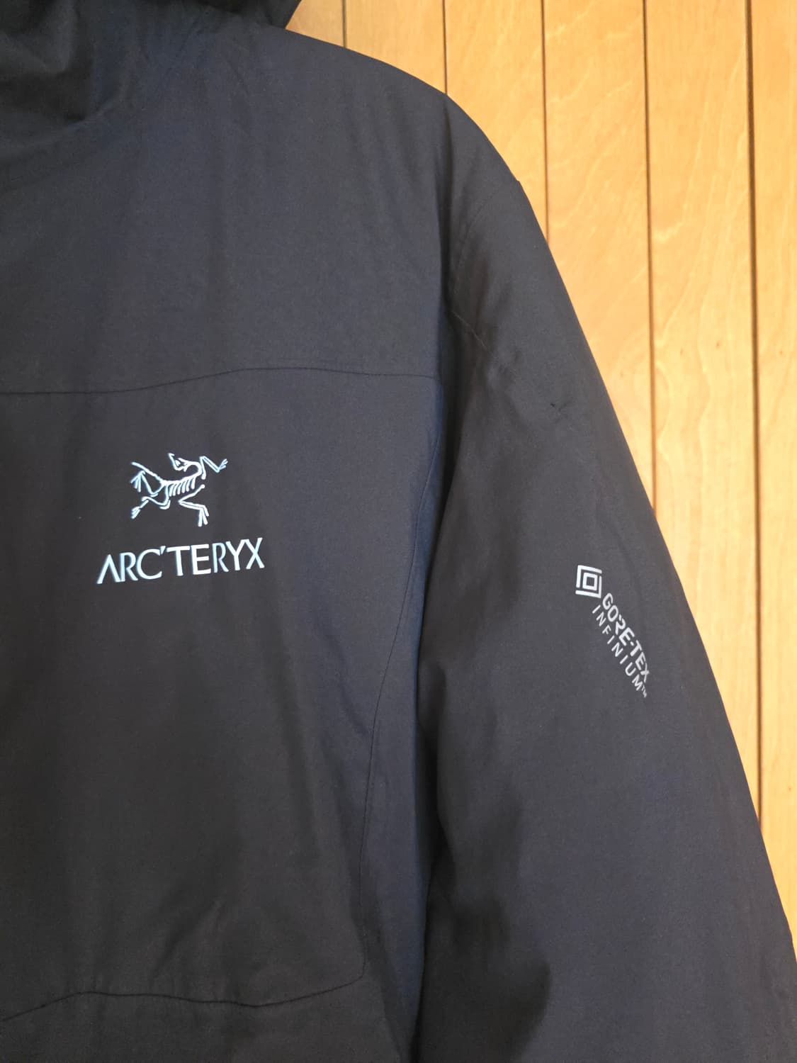 아크테릭스 고어텍스 패딩 카파. 세륨 토륨 상품이미지2