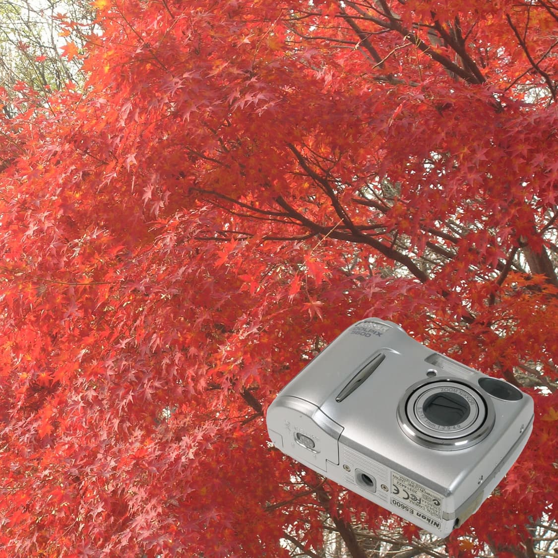 Coolpix 5600 (✨민트급/🎁풀패키지) 상품이미지6