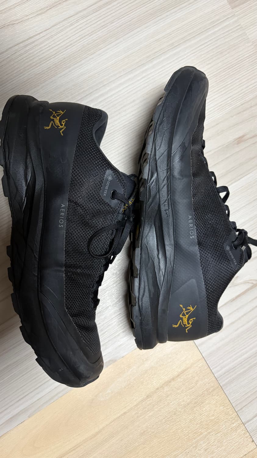 아크테릭스 에어리어스 FL2 GTX 상품이미지5